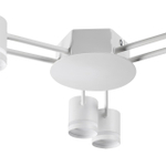 Потолочная люстра Lumion GARETA 8235/6C