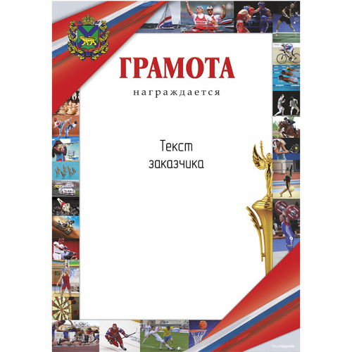 PNDiploma-001 с текстом