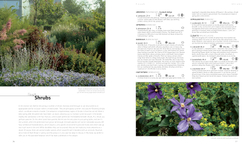 Dream Plants for the Natural Garden. Piet Oudolf