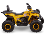 Квадроцикл AVANTIS H200 NEW BIG Lux