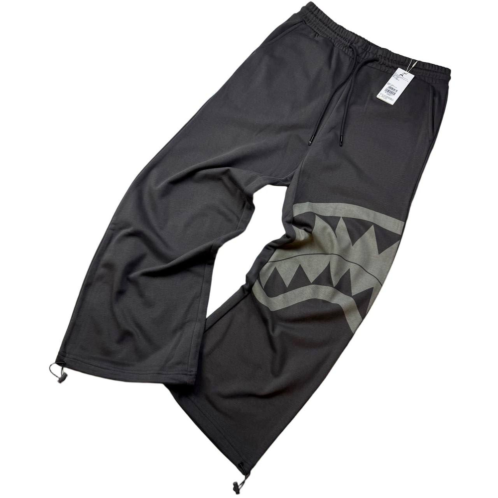 Брюки Sprayground