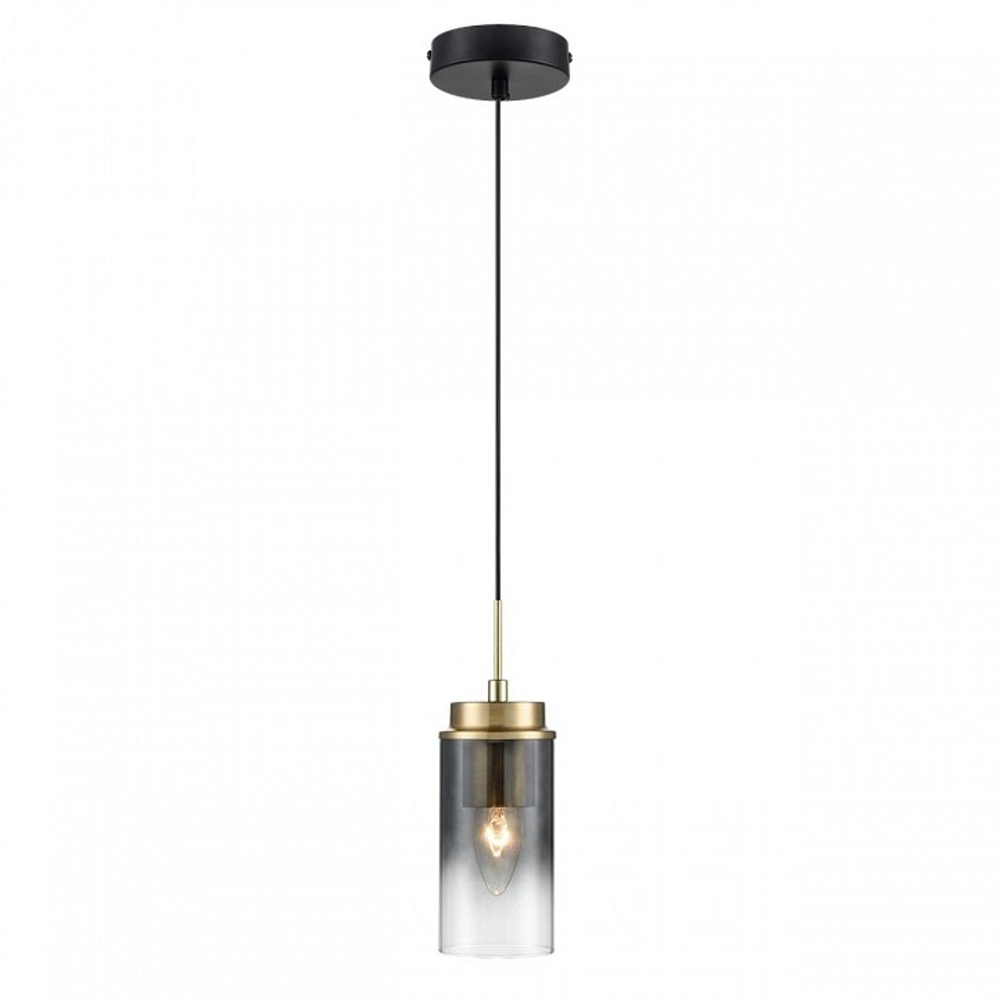 Подвесной светильник Lumion Isha 8101/1A