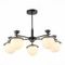 Подвесная люстра Evoluce Genova SLE220202-05