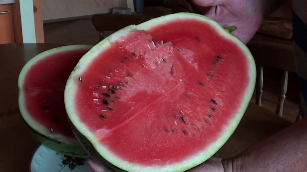 Арбуз Бедуин F1 5шт Мировые Семена VITA GREEN