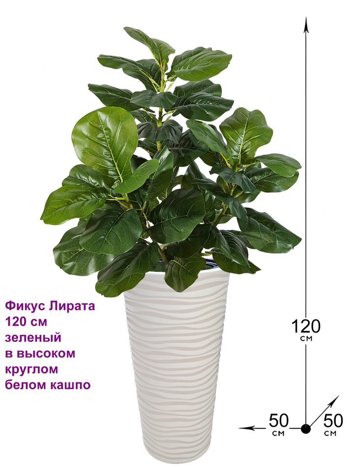 Искусственное растение Фикус Лирата 120 см зеленый в высоком круглом белом кашпо