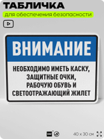 Табличка для обеспечения безопасности "Необходимо иметь каску, защитные очки", для производства, предприятия, организаций, 40х30 см, Silver Plane x Айдентика Технолоджи