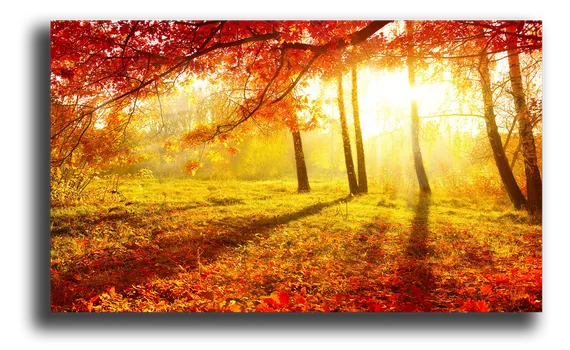 Постер "Осенний листопад"