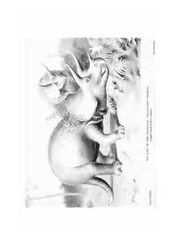 Extinct monsters and creatures of other days. A popular account of some of the larger forms of ancient animal life | H.N. Hutchinson