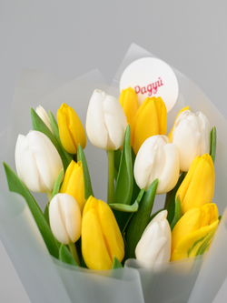 Тюльпаны микс