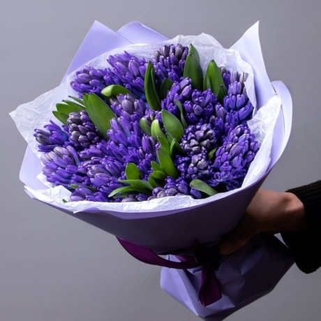 Ароматные гиацинты