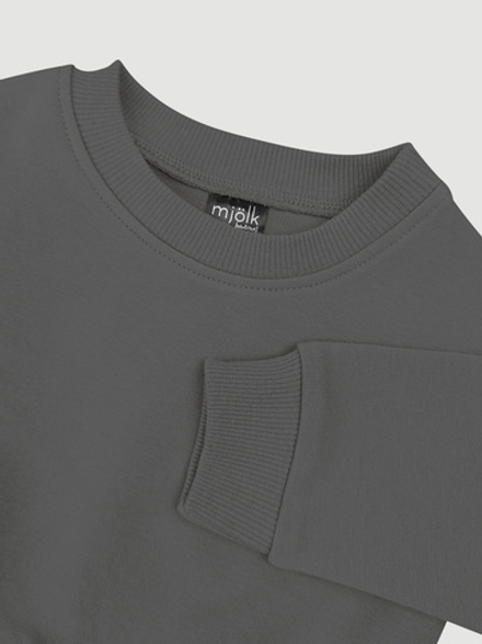 Комплект Mjölk Свитшот Steel Grey/Легинсы Roses