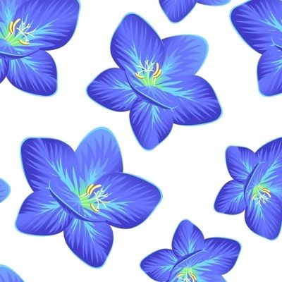 Крупные цветы голубой фрезии