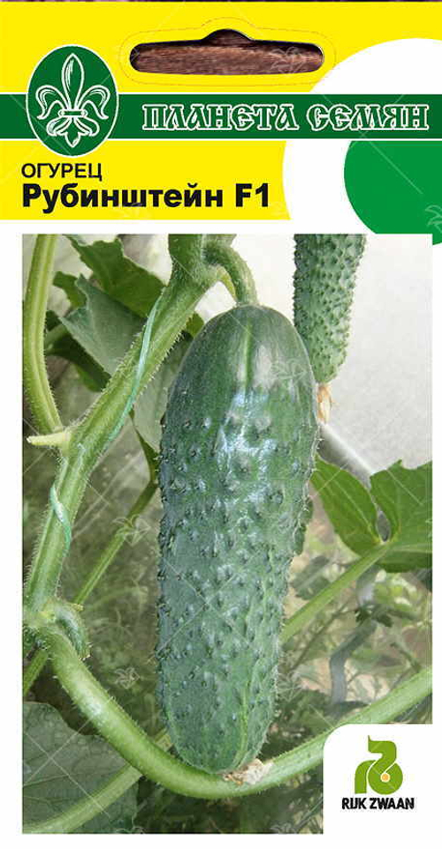 Огурец Рубинштейн F1