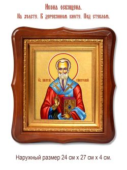 Ипатий епископ Гангрский чудотворец. Икона на холсте.