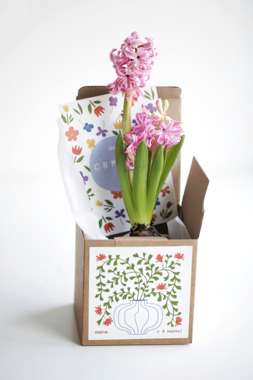 Гиацинт в крафтовой коробочке с открыткой