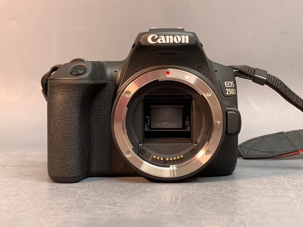 Canon 250D Kit 18-55mm STM 1000 кадров