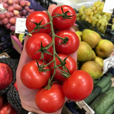 Томат Черри на ветке