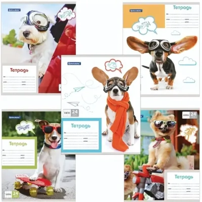 Тетрадь 24л. А5 клетка Brauberg MY BEST FRIEND обложка мелованный картон (9/18)