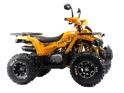 Квадроцикл MOTOLAND 125 WILD X PRO А