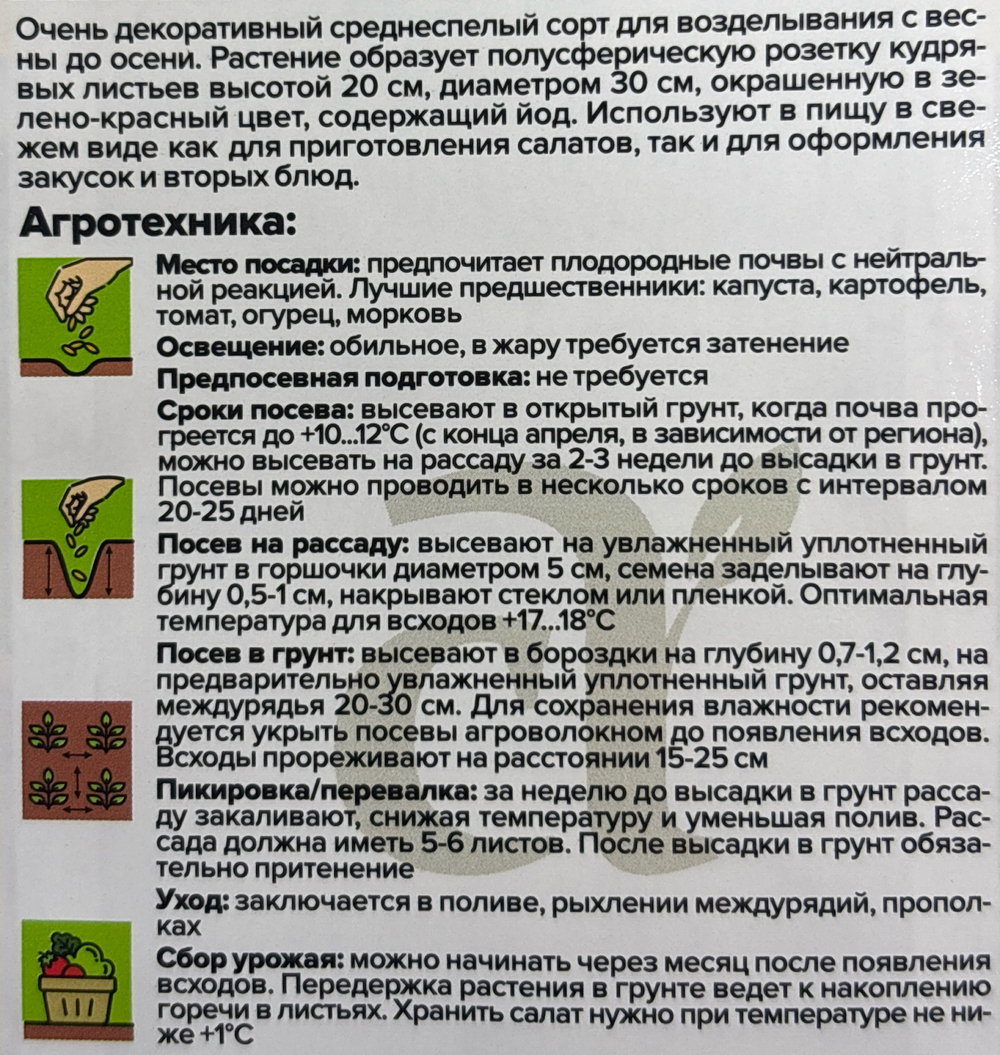 Салат Лолла Росса 0,5 г СМЗ-173