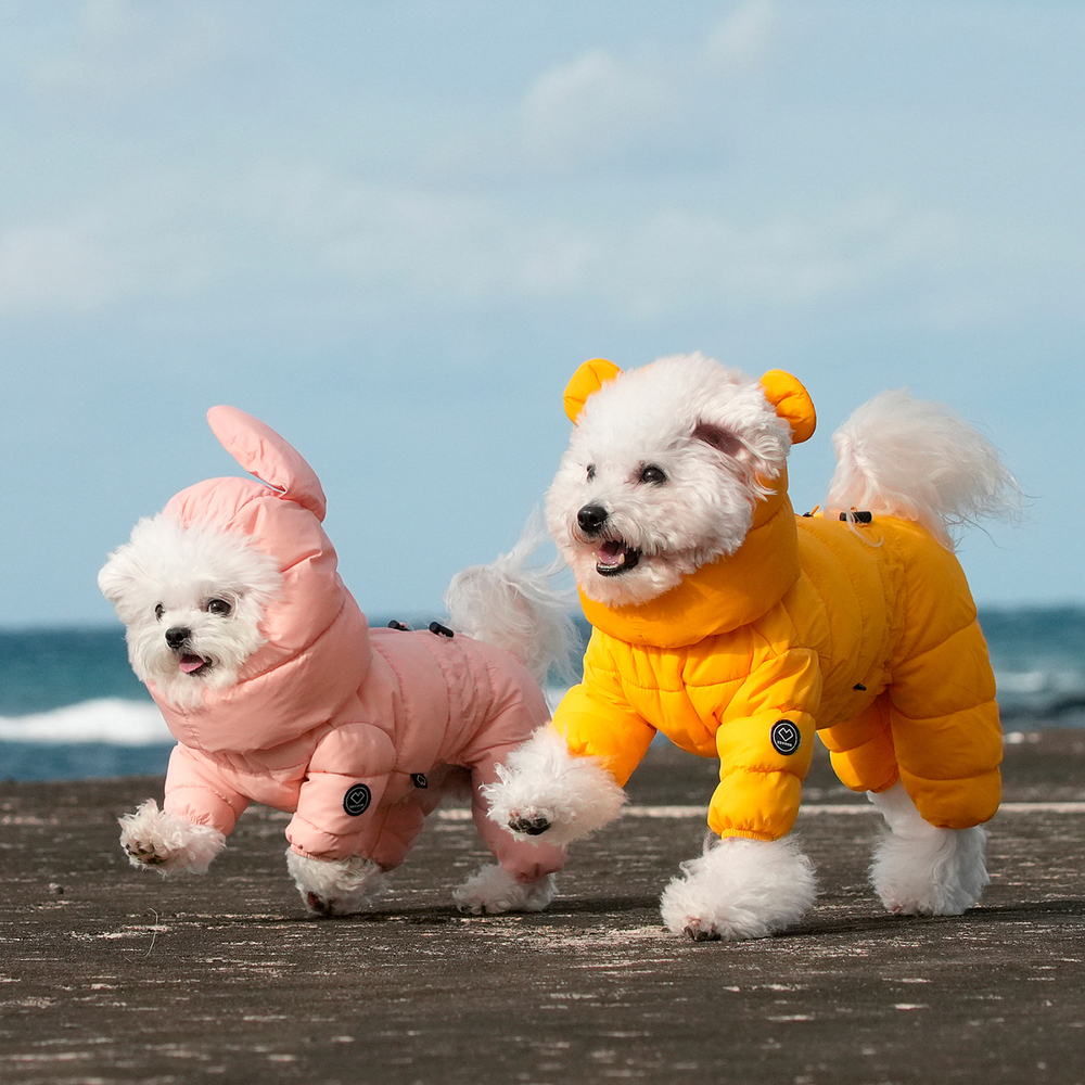 672 Комбинезон "Комфорт до -20-25°C" с молнией на спине, девочка/ COMFORT - FOR GIRLS, для девочки PREMIUM (SSOOOK)