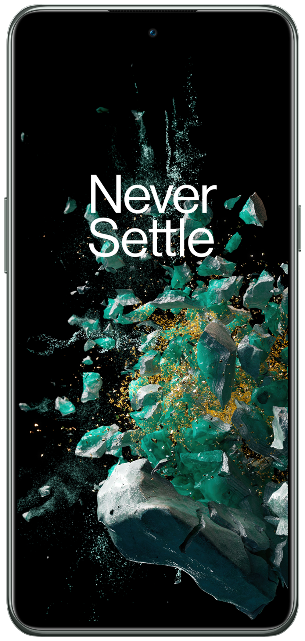 OnePlus 10T 16/256Gb Jade Green