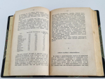 "Язвы Петербурга". В.Михневич. 1886 г.