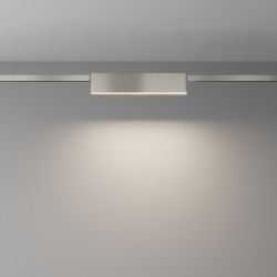 Накладной светильник Maytoni Basis TR151-1-18W4K-PT