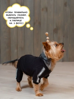 Спортивный комбинезон костюм для собак