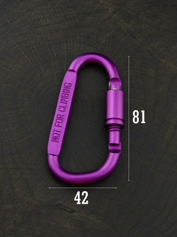 В АССОРТИМЕНТЕ - 3 карабина вспомогательных до 50 кг алюминий 81х42 мм