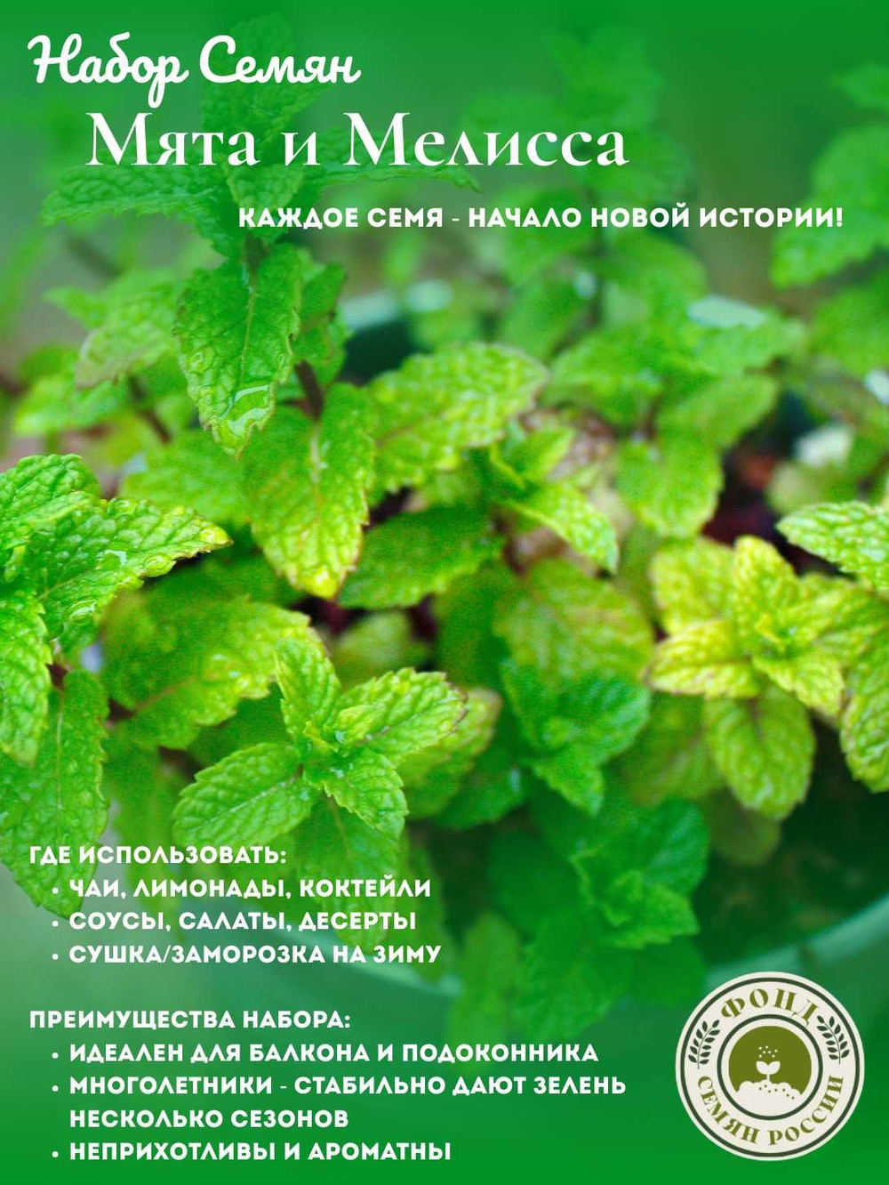 Набор трав Мята, Мелисса, семена 0,14 гр. 2 пачки