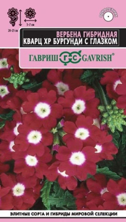 Вербена Кварц XP Бургунди с глазком, гибридная* 4 шт. (Гавриш)