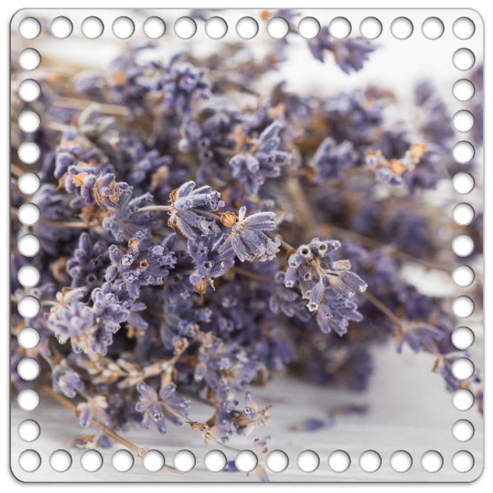 Донышко Принт 20*20см