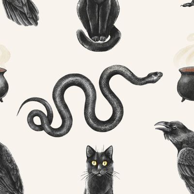 Ведьминский узор с котом, вороном и змеей на белом