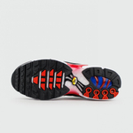 кроссовки Nike Air Max Plus Tn White / Black / Red