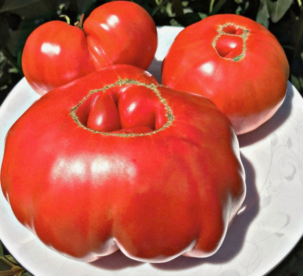 ГИГАНТ БОЛЬЦАНО