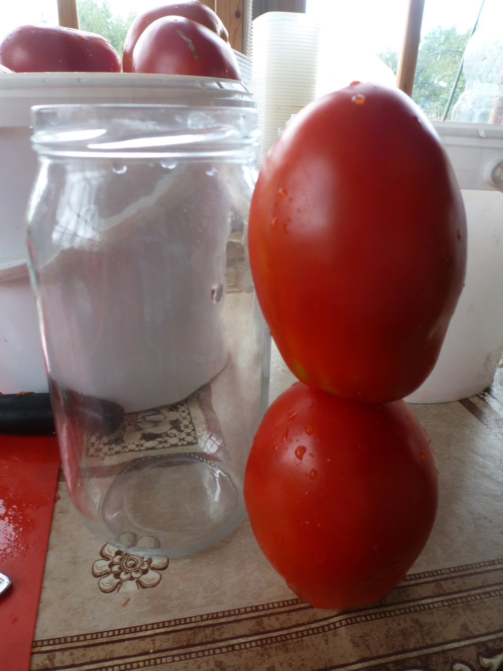 Помидоры - Amos Coli - Амос Коли