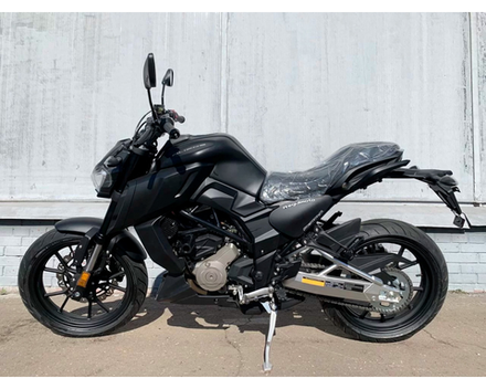 Мотоцикл Regulmoto ALIEN MONSTER 300 (Черный)