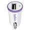 Автомобильное зарядное устройство Belkin (F8J014btPUR), фиолетовый