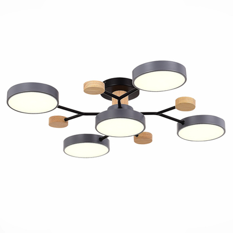 Светильник потолочный Evoluce Faema SLE6006-702-05