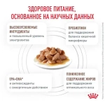 ROYAL CANIN Gastrointestinal Moderate Calorie Корм влажный для кошек, склонных к набору веса, при расстройствах пищеварения, 85 г
