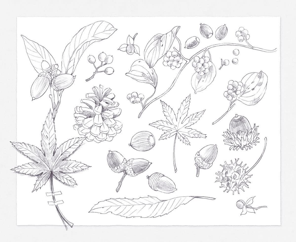 [Vol.2] Wild mouse Yururi's journey sketch. Coloring Book