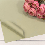 Пленка В листах 20 шт 60 х 60 см "Корейская" (Бежевый)