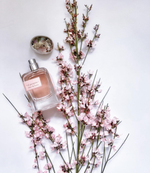 Lengling El Pasajero Hair Perfume
