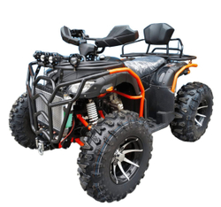 Квадроцикл GRIZZLY 300 (4WD)