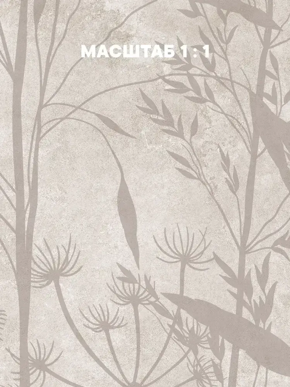 Флизелиновые фотообои 3D на стену 400х270 Сухоцветы бетон