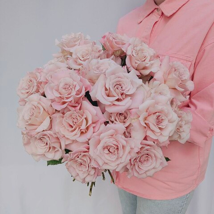 25 французских кремовых роз