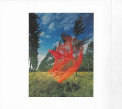 Pink Floyd. Wish You Were Here (CD)