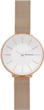 Женские наручные часы Skagen SKW2688