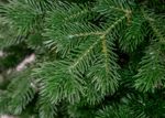 Ель искусственная «Делия» (Литая хвоя) 230 см / 2,3 м